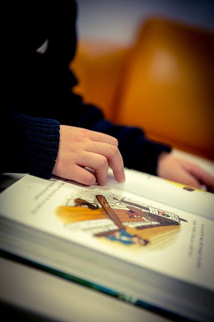 reading-1090736_640